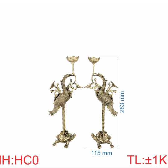 Hạc cánh 2T8