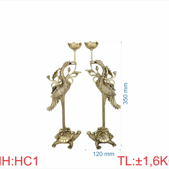 Hạc cánh 3T5