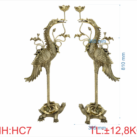 Hạc cánh 8T1
