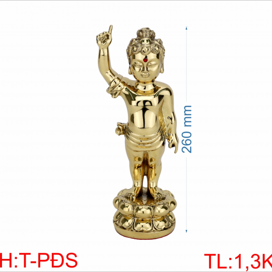 Tượng Phật Đảng Sanh Chỉ Thiên